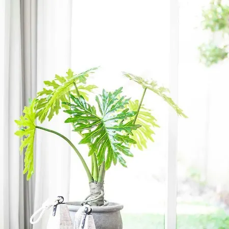 New Bay בית נופש